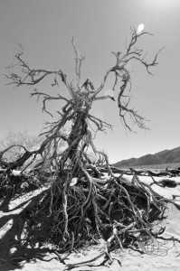 20150917-Death-Valley-Nikon-72