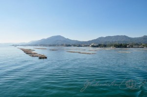 20151018-Miyajima-Nikon-04