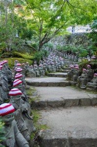 20151019-Miyajima-Nikon-51