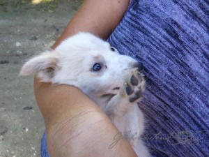 20151112-Loboc-Lumix-12