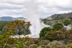 20151205-Rotorua-Nikon-179