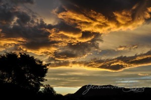 20151210-Kaikoura-Nikon-01