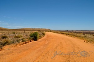 20151230-Geraldton-nach-Kalbarri-Nikon-04