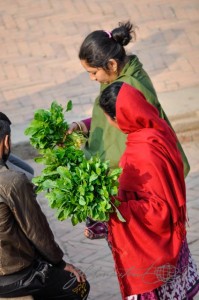 20160225-Kathmandu-Nikon-258