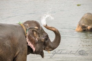 20160306-Nepal-Chitwan-15