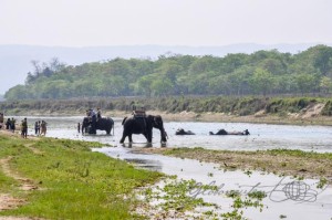 20160307-Nepal-Chitwan-230