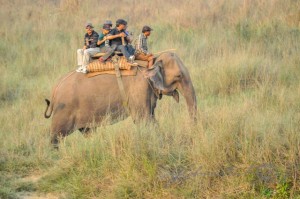 20160307-Nepal-Chitwan-379