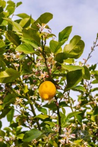 20160323-Zypern-Nikosia-71