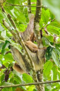 20160416-Costa-Rica-La-Fortuna-229