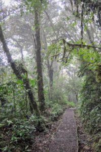 20160419-Costa-Rica-Monteverde-13