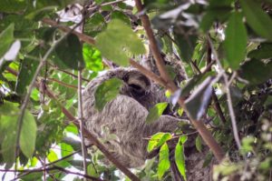 20160517-Costa-Rica-Manuel-Antonio-60