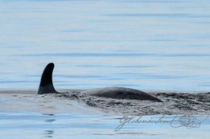 20160615-Kanada-Tadoussac-93