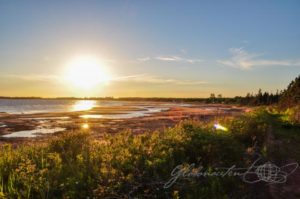 20160620-Kanada-Prince-Edward-Island-Chelton-03