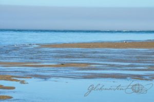 20160705-USA-Massachusetts-Cape-Cod-17