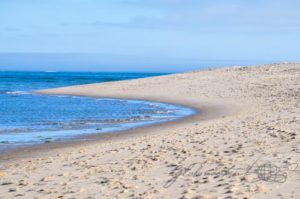 20160705-USA-Massachusetts-Cape-Cod-25