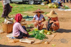 20161119-myanmar-inle-see-129