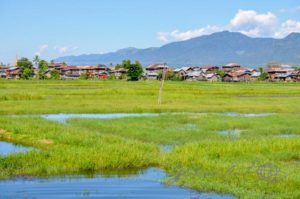 20161119-myanmar-inle-see-175