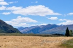 20151221-Otago-Nikon-09.jpg