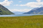 20151221-Otago-Nikon-11.jpg