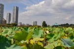20151003-Tokyo-Nikon-27.jpg
