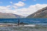 20151221-Otago-Nikon-21.jpg