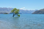 20151222-Wanaka-Nikon-14.jpg