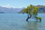 20151222-Wanaka-Nikon-19.jpg