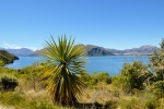 20151222-Wanaka-Nikon-41.jpg