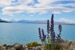 20151223-Twizel-Nikon-29.jpg