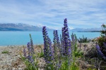 20151224-Twizel-Nikon-91.jpg