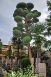 20151004-Tokyo-Nikon-44.jpg