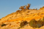 20151230-Geraldton-Nikon-14.jpg