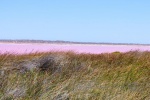 20151231-Geraldton-nach-Kalbarri-Nikon-35.jpg