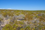 20151231-Kalbarri-Nikon-12.jpg