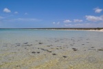 20160102-Shark-Bay-Nikon-03.jpg