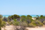 20160102-Weg-nach-Shark-Bay-Nikon-05.jpg