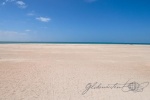 20160102-Weg-nach-Shark-Bay-Nikon-25.jpg