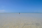 20160102-Weg-nach-Shark-Bay-Nikon-38.jpg