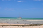 20160103-Shark-Bay-Nikon-38.jpg