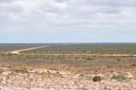 20160103-Shark-Bay-Nikon-76.jpg