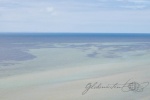 20160103-Shark-Bay-Nikon-77.jpg