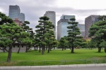 20151004-Tokyo-Nikon-72.jpg