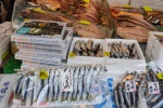 20151005-Tokyo-Nikon-102.jpg
