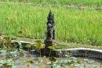 20160124-Ubud-Nikon-12.jpg