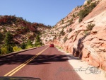20150911-Zion-Lumix-69.jpg