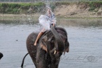 20160306-Nepal-Chitwan-1002.jpg