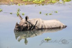 20160307-Nepal-Chitwan-227.jpg