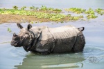 20160307-Nepal-Chitwan-240.jpg