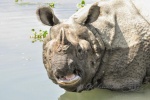 20160307-Nepal-Chitwan-254.jpg