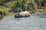 20160307-Nepal-Chitwan-270.jpg